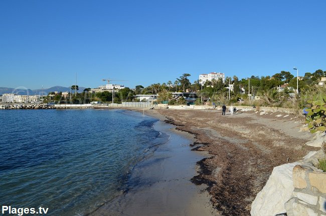 Crouton beach in Juan les Pins in december