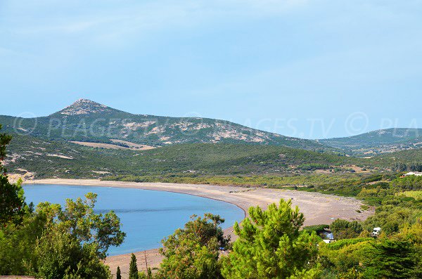 Foto della spiaggia della baia di Crovani in Corsica