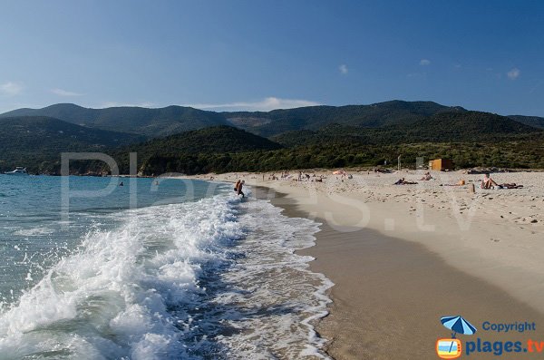 Onda sulla spiaggia di Cupabia - Corsica