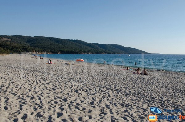 Wild beach in Porto Pollo - Cupabia