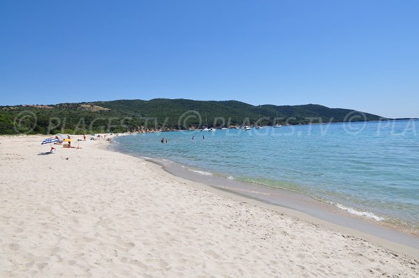 Plage de sable blanc à Porto Pollo