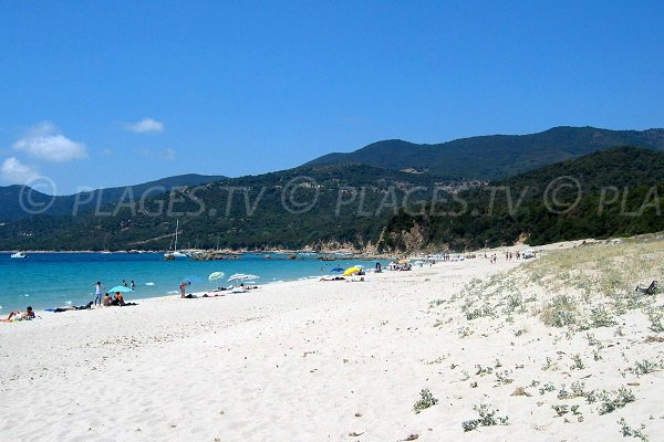 Plage de Cupabia vue vers le nord - Porto-Pollo