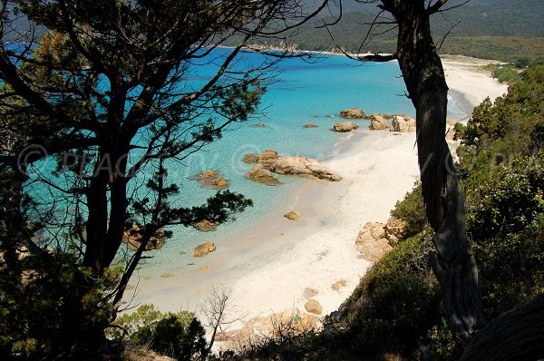 Foto della spiaggia Cupabia