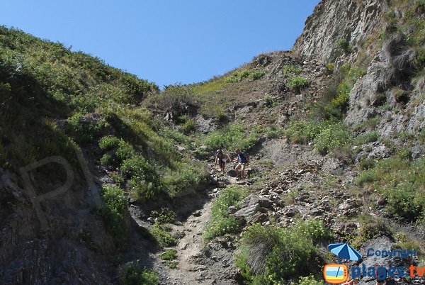 Sentier d'accès à la plage des curés à Belle Ile - Bangor