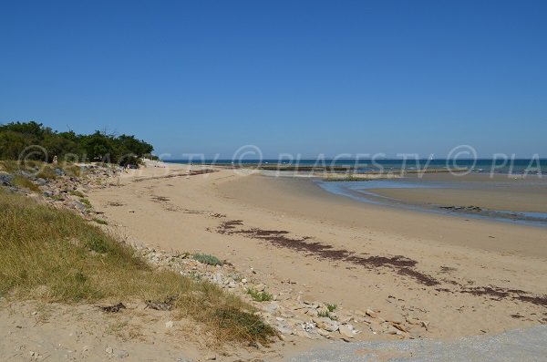 Plage des Cytons aux Portes en Ré