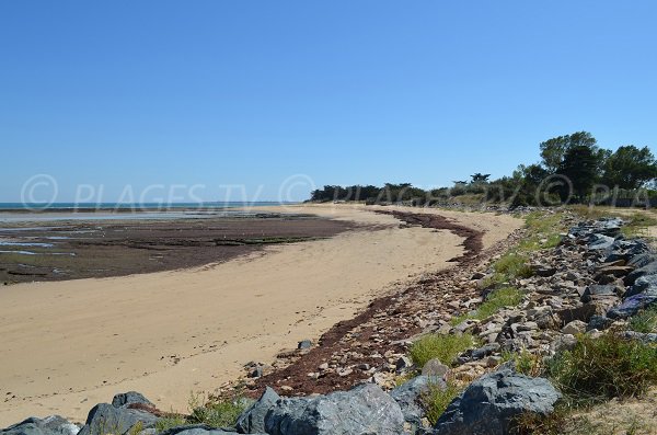 Photo de la plage des Cytons sur l'Ile de Ré