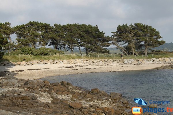 Plage aux Dames - Port St Sauveur - Pleumeur-Bodou