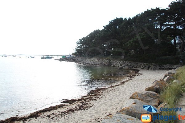 Plage aux Dames et port de St Sauveur - Ile Grande