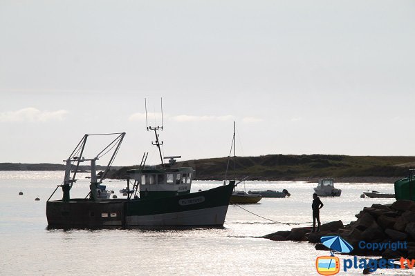 Pêcheur dans le port de St Sauveur - Ile-Grande - Pleumeur-Bodou