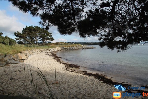 Photo de la plage aux Dames sur l'ile Grande - Pleumeur-Bodou