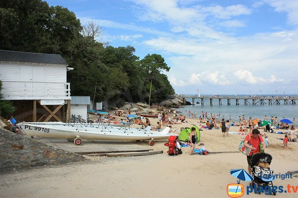 Aviron - Dames de Nage de Noirmoutier