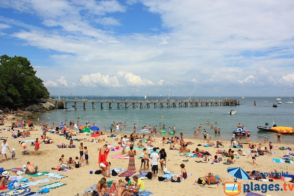 Foto della spiaggia di Dames - Noirmoutier - Francia