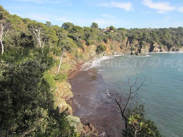 Plage sauvage de la Darboussières sur la presqu'île de Giens