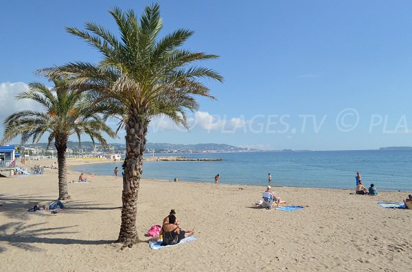 Plage des dauphins à Mandelieu la Napoule