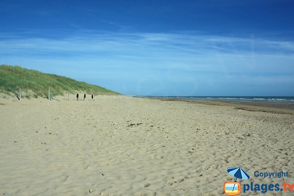 Spiaggia e dune - Davière - St Jean de Monts
