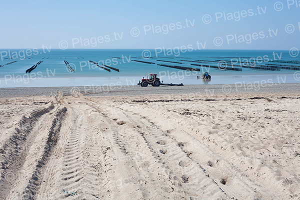 Plage du golf de Breville-sur-Mer avec vue sur les parcs à moules et huitres