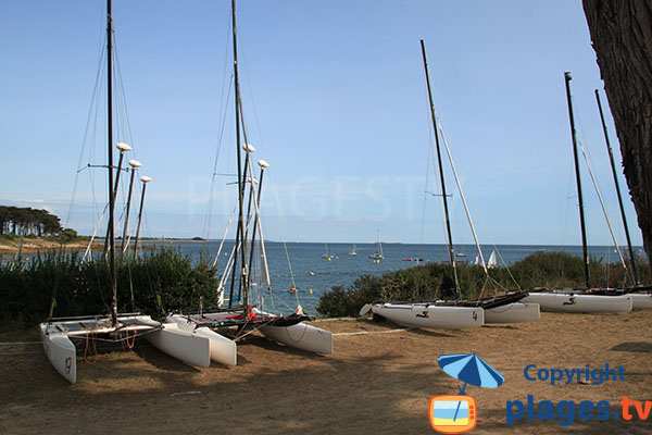 Les catamarans du club Océane