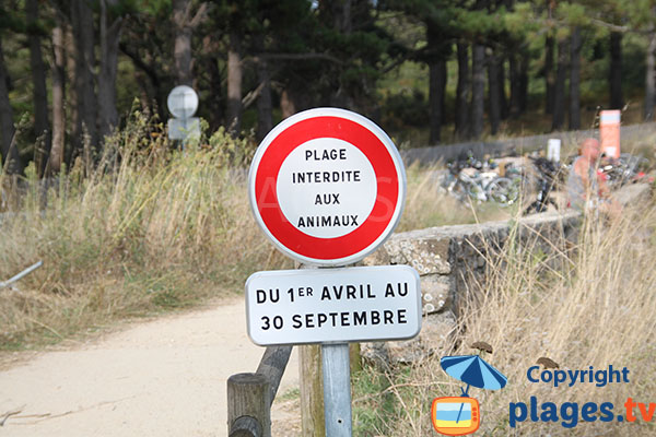 Plage interdite aux animaux