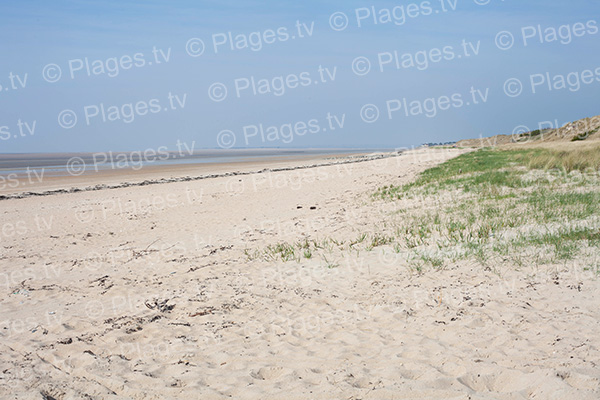 vue de la plage de Lingreville à marée basse