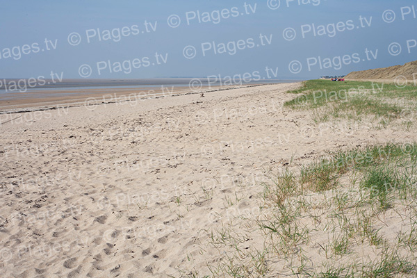 Plage de Lingreville à marée basse