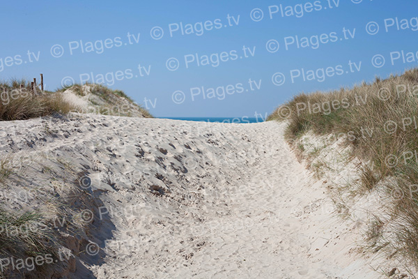 Dune de Plage de Surville