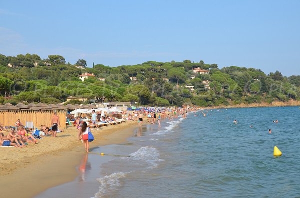 Private and public beaches in the Croix Valmer - Debarquement