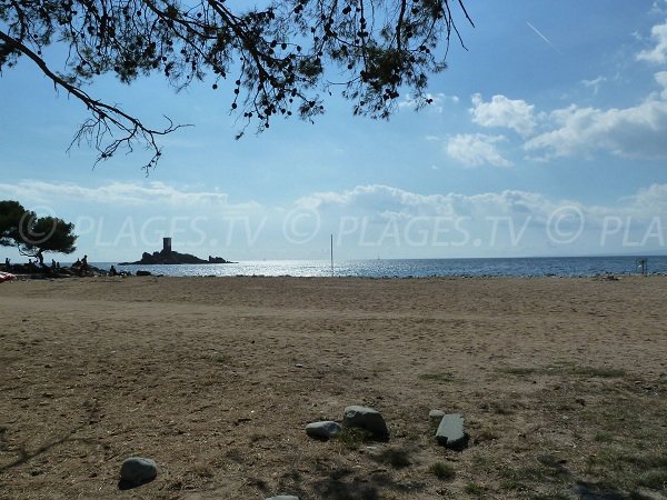 Plage ombragée du débarquement à St Raphaël