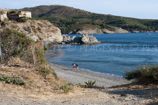 Photo of Del Forat beach - Port Vendres