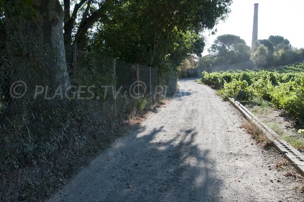 Access to Del Forat cove - Port Vendres