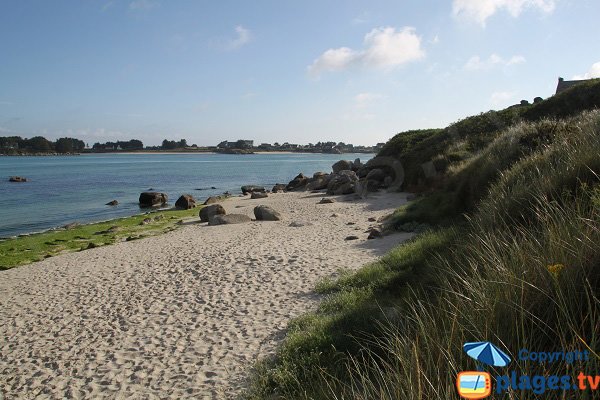 Environnement de la plage de Dibenou à Guissény