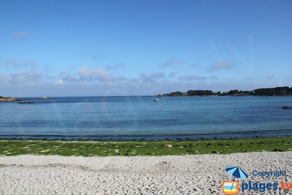 Littoral au niveau de Dibenou à Guissény