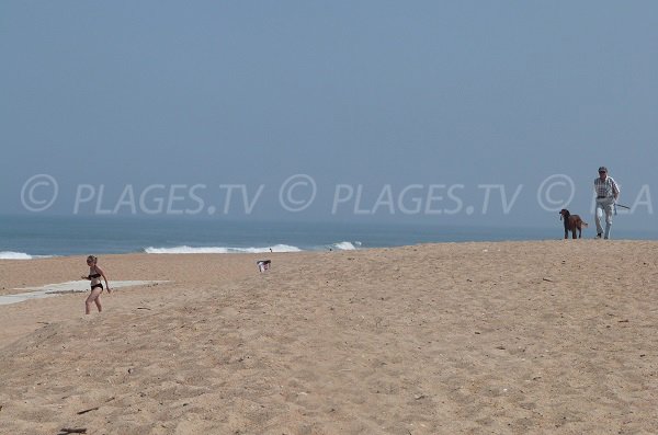 Digue beach in Tarnos in France