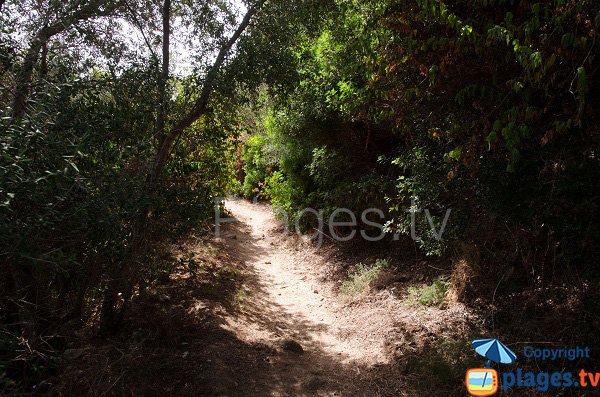 Sentier d'accès à la plage Dolce Vita - Ajaccio