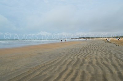 Wild beach in Dolus d'Oléron in France