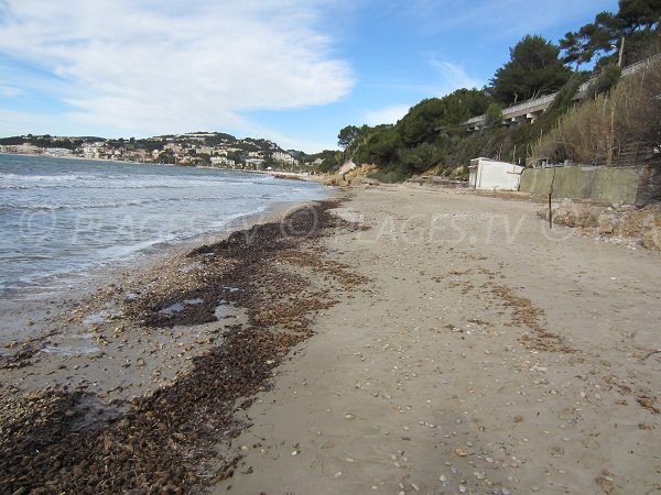 Plage Dorée à Sanary dans le Var