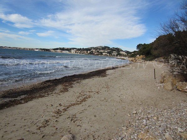 Plage Dorée à Sanary à proximité de Bandol