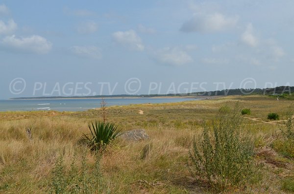 Foto della spiaggia Marina di Douhet sull'isola di Oleron