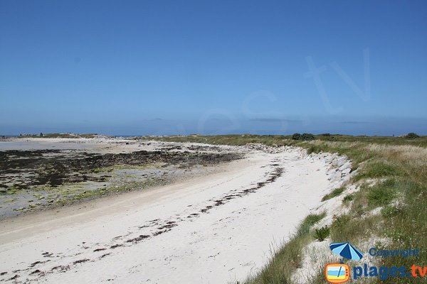 Photo de la plage du Dourlin - Ile Grande