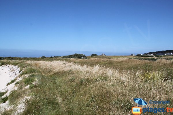 Environnement de la plage du Dourlin