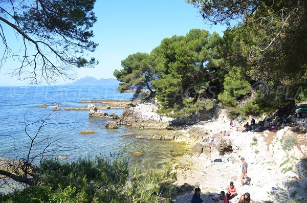 Crique avec des rochers à l'ouest de l'Ile de Lérins