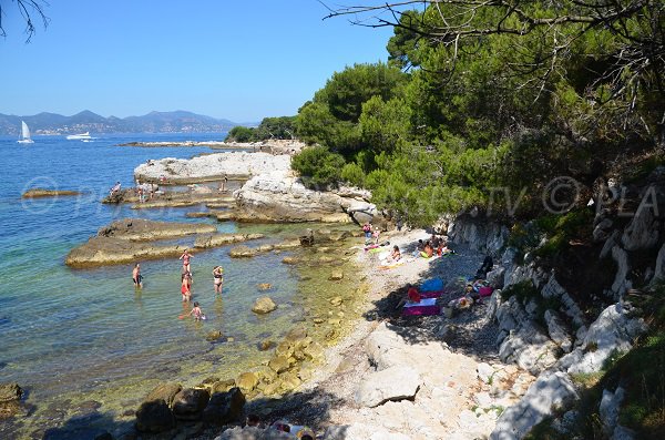 Crique ombragée au sud-ouest de Ste Marguerite - Ile de Lérins