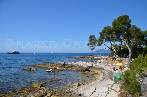 Crique de galets sur l'ile de Lérins - Pointe du Dragon