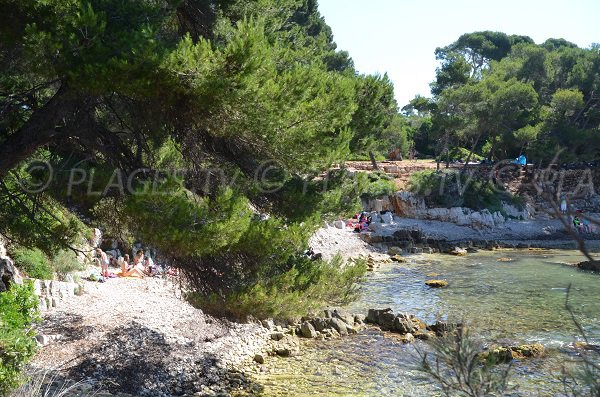 Crique avec de l'ombre sur l'ile de Lérins - Pointe du Dragon