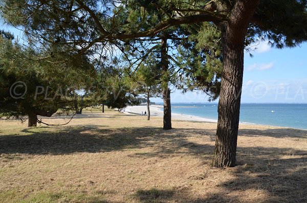 Spiaggia del Drehen a Quiberon in Francia