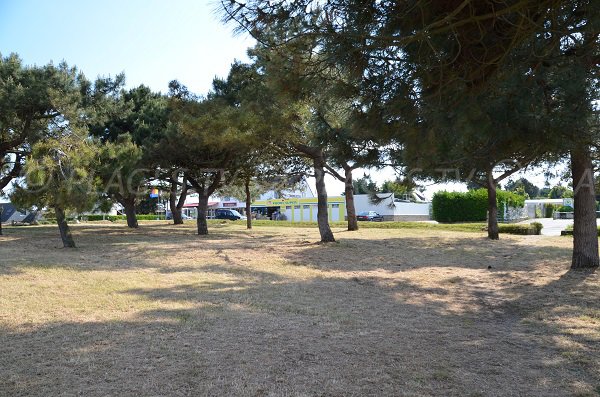 Environnement de la plage de Drehen à Quiberon