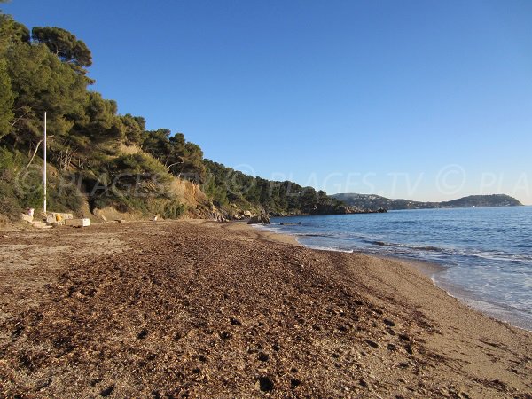 Plage du Monaco au Pradet