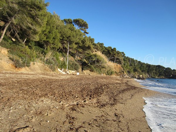 Spiaggia selvaggia di Pradet