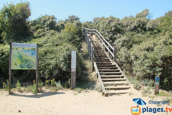 Accès à la plage côté cap gris nez de Wissant par les dunes d'Aval