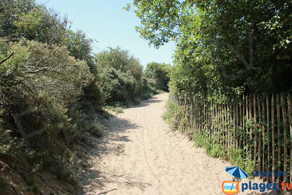 Trail access to the wild beach of Wissant