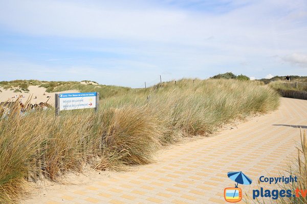 Boucle de la Corniche et de la dune au Touquet